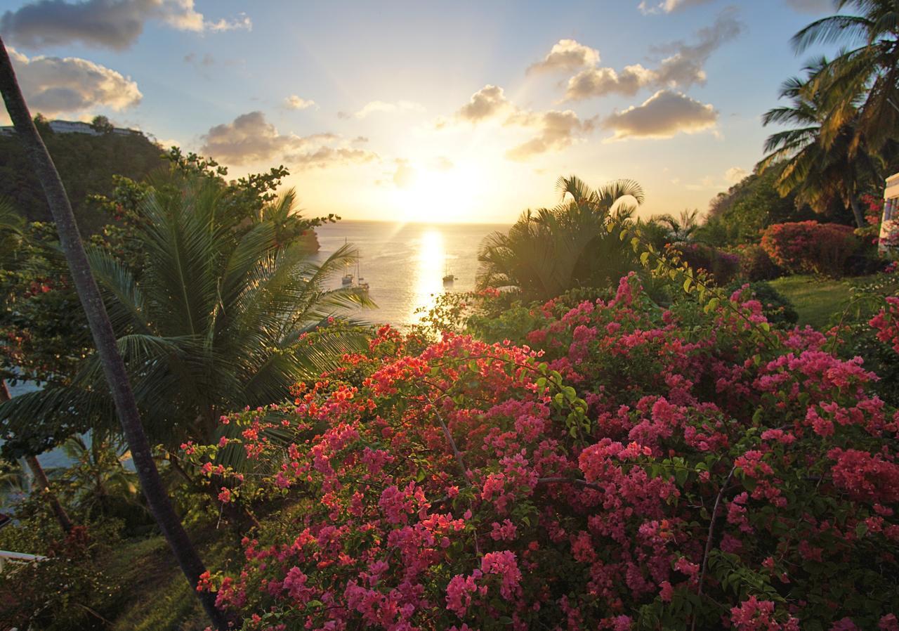Marigot Beach Club & Dive Resort Marigot Bay Exterior foto